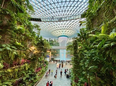 jewel changi airport entrance fee.